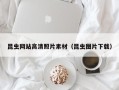 赤壁昆虫网站高清照片素材（昆虫图片下载）