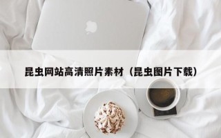 赤壁昆虫网站高清照片素材（昆虫图片下载）